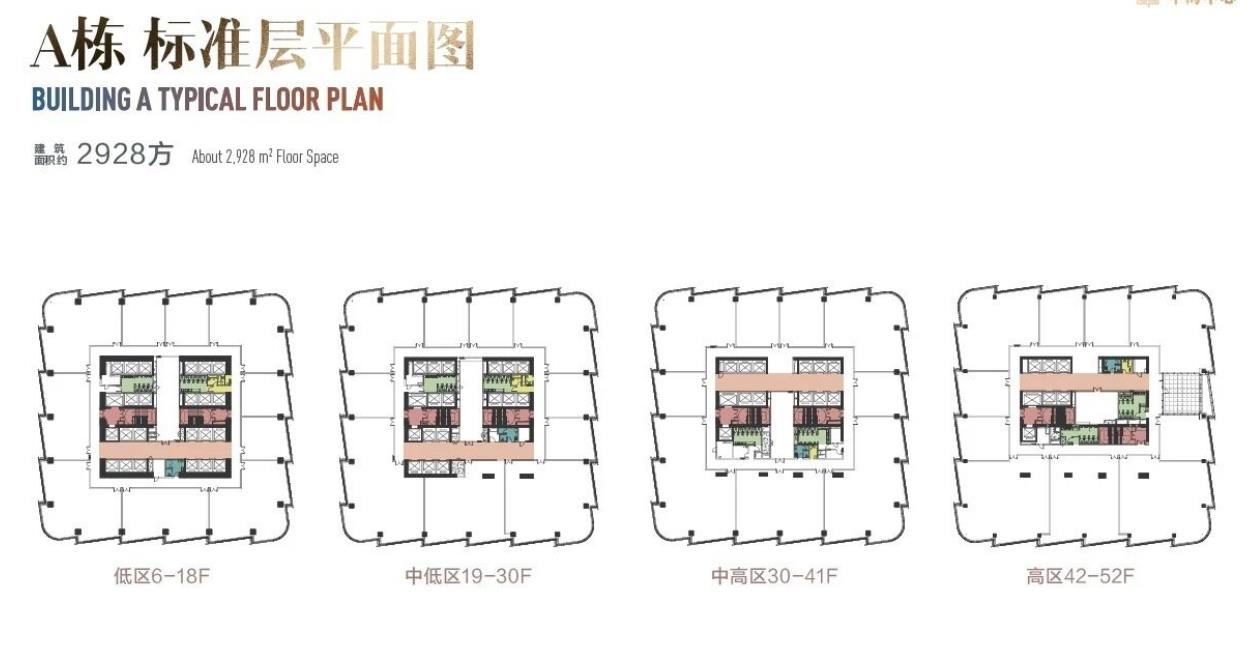 标准层平面图