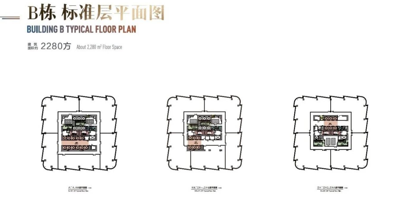 标准层平面图